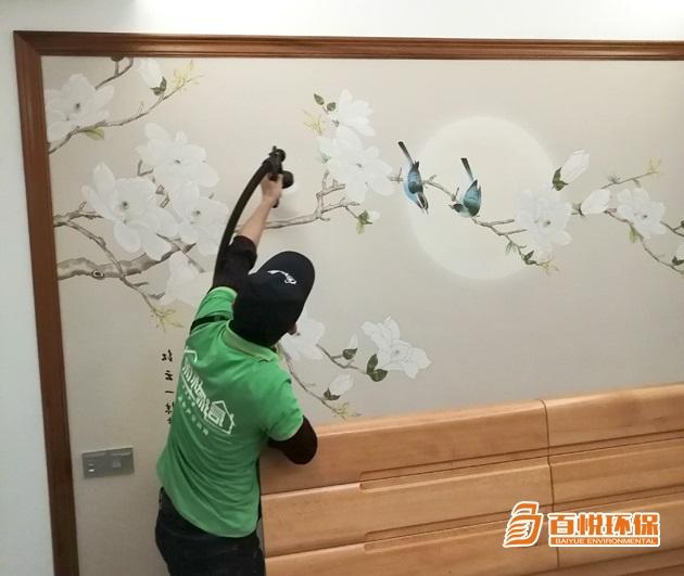 全屋凈化除甲醛百悅環(huán)保佛山室內(nèi)除甲醛公司 全屋凈化除甲醛百悅環(huán)保佛山室內(nèi)除甲醛公司